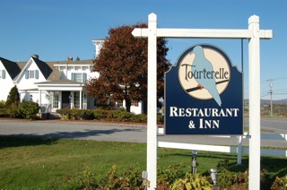 Tourterelle from the road