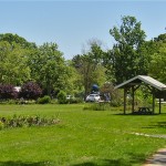 image of Gray's Beach picnic area